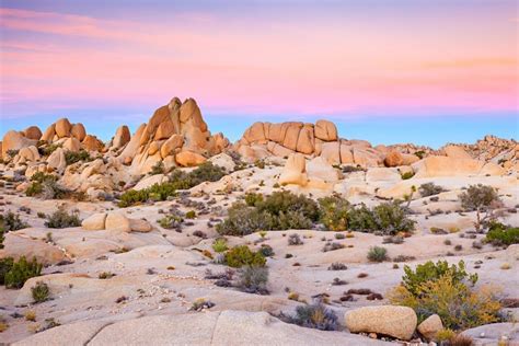 Things to do in Mojave Desert: best places to visit and tourist attractions