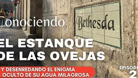 Todo Lo Que Debes Saber Sobre El Estanque De Betesda En La Biblia