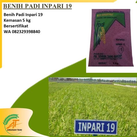 Jual BENIH PADI INPARI BERSERTIFIKAT BERLABEL Shopee Indonesia