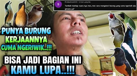 Andai Tau Ini Dari Dulu Punya Burung Cuma Ngeriwik Harus Cepat