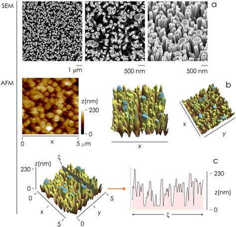 Sem A And Afm B Images Of Zinc Oxide Nanowires Surfaces Nanowires