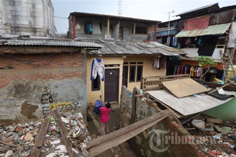 Pembebasan Lahan Untuk Proyek Normalisasi Sungai Foto