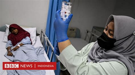 DBD Kematian Akibat Demam Berdarah Dengue Melonjak Tiga Kali Lipat 3M