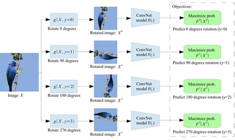 Self Supervised Representation Learning Ahu Wangxiao