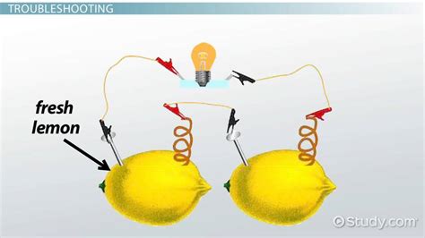 How to Make a Lemon Battery Science Fair Project - Lesson | Study.com