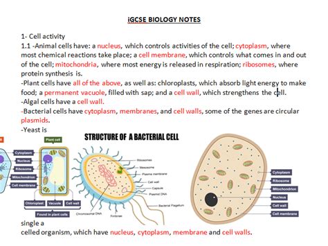 Aqa Igcse Biology Notes Full Teaching Resources