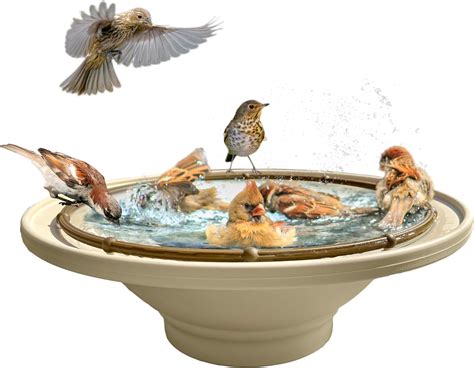 Quackups® Solar Bird Bath Bubbler Fountain Outdoor Garden