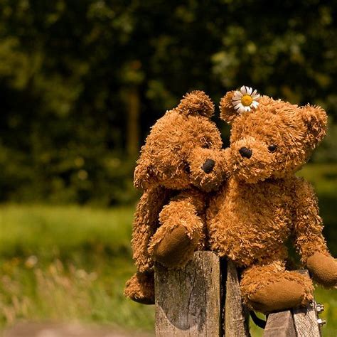 Teddy Bear Couple Images Hd