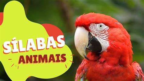 Aprendendo As S Labas Dos Nomes Dos Animais Alfabetiza O De Crian As