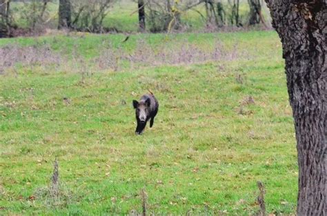 Le matériel indispensable pour débuter la chasse Nouvelles Littératures