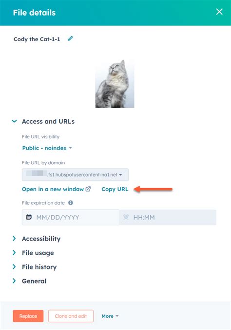 provide  direct  link   file hosted   files tool