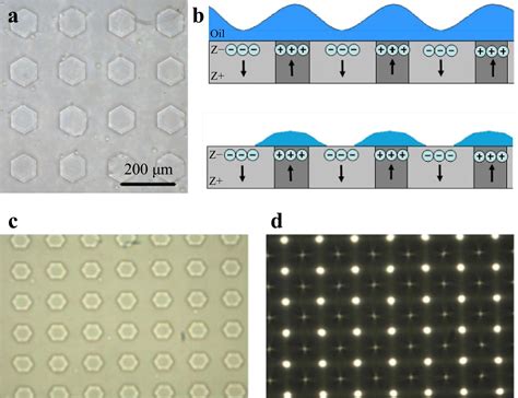 Digital Holography As Metrology Tool At Micro Nanoscale For Soft Matter