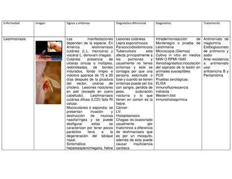 Cuadro Comparativo Leishmaniasis Cuadro Comparativo Leishmaniasis