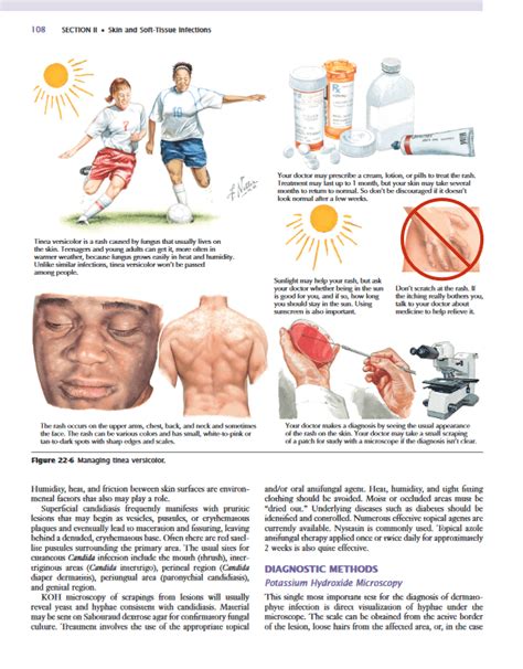 Netter's Infectious Disease - the nursing station