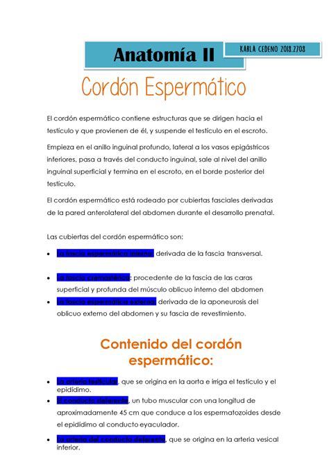 Cordon Espermatico - Moore. Fundamentos de Anatomía Con Orientación ...