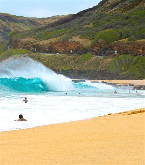 Pin on White Sandy Beach of Hawaii