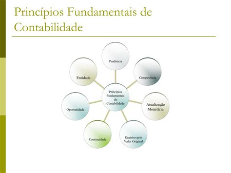 O Princípio Que Reconhece O Patrimônio Como Objeto Da Contabilidade