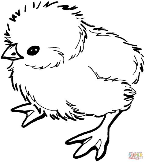 Baby Chick coloring page | Free Printable Coloring Pages