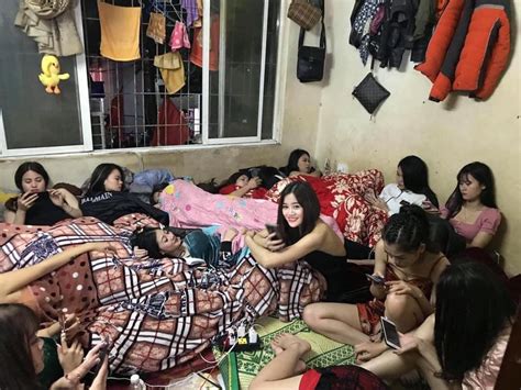 No sex Phía sau VOZ