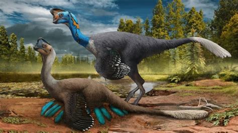 Frozen In Time Scientists Find Rare Fossil Of Dinosaur Sitting On Eggs