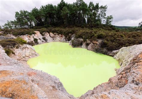 Wai-o-Tapu in New Zealand stock photo. Image of lake - 184742480