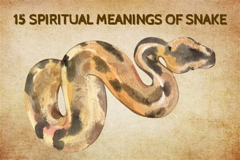 Spiritual Meanings Of Snake