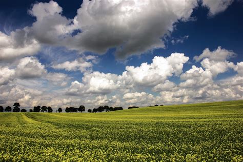 Fotos Gratis Paisaje Naturaleza Césped Horizonte Nube Cielo