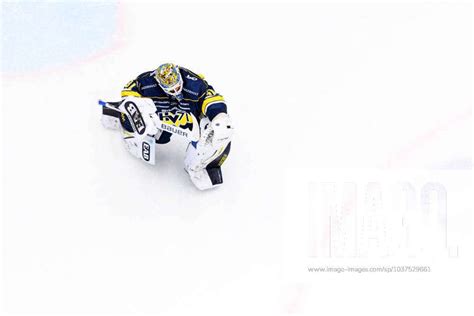 Hv S Goalkeeper Joni Ortio Cheers After The Shl Ice Hockey