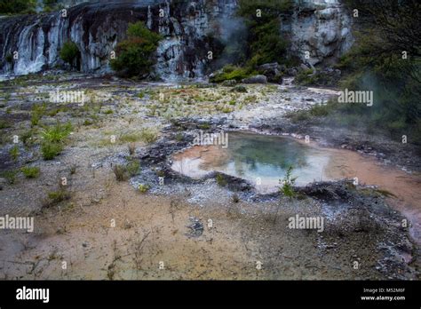 Geothermal Hot Springs And Steam From Colorful Hot Pools Orakei Korako Park New Zealand Stock