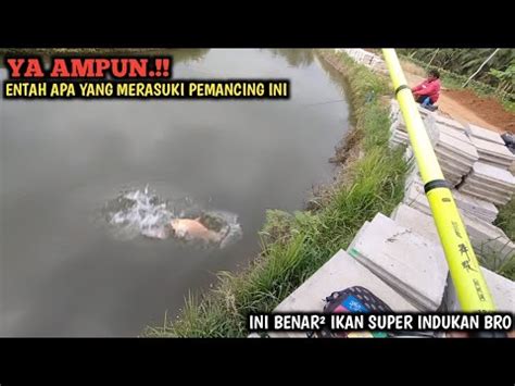 Di Bantai Mancing Tawes Di Sungai Irigasi Banjarnegara Gak