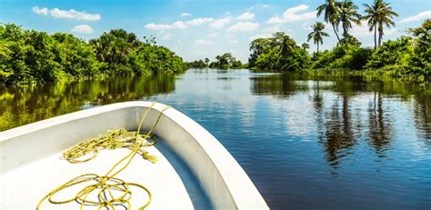 Reserva De La Biosfera Pantanos De Centla Lo Mejor Que Hacer En Villahermosa Zonaturistica