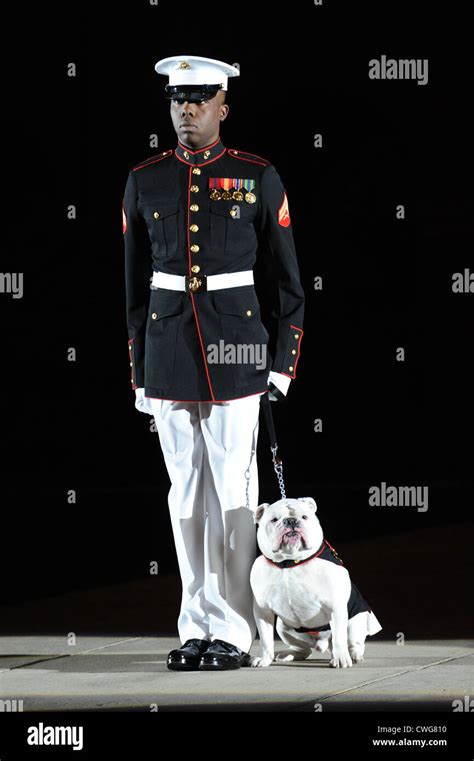 A Us Marine Mascot Handler Stands At The Center Walk With The Marine
