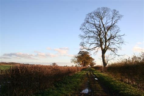 Long Farm Lane Richard Croft Geograph Britain And Ireland