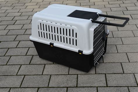 Hunde Transportbox Kaufen Auf Ricardo