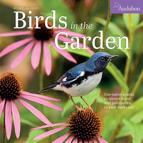 Audubon Birds In The Garden Wall Calendar 2024 Use Native Plants To Attract Birds