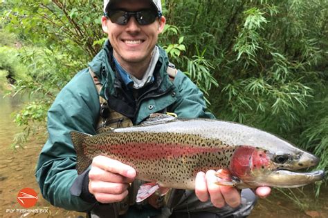 25 Proven Tips To Catch More Trout Fly Fishing Fix