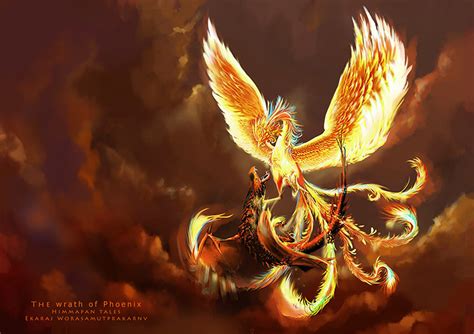 Mythical Phoenix Artwork: A Creature Design Gallery