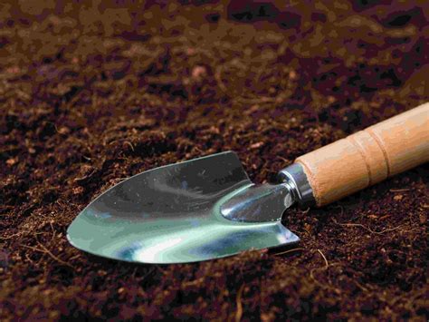 How To Choose The Right Gardening Trowel A Complete Guide