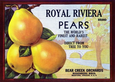 Harry And David Pears - Sere Fruit