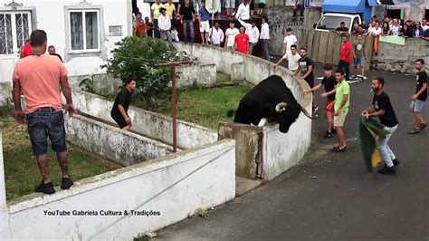 Touros Eg Tourada Rua Do Biscoito Fonte Do Bastardo