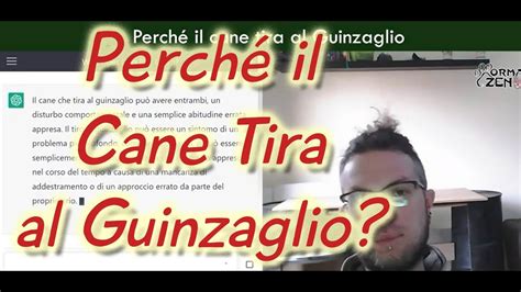 Perché il cane tira al guinzaglio Consulente cinofilo AI Stagione 1