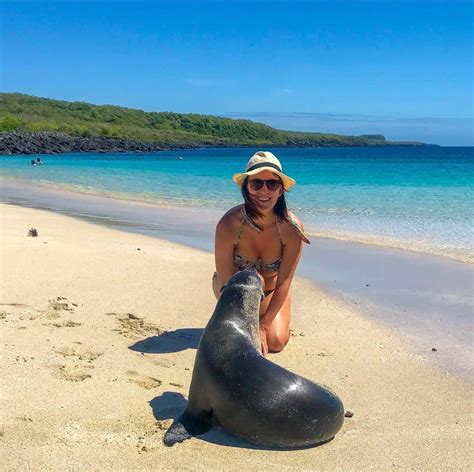 9 Best Galapagos Day Tours To See Incredible Wildlife – Explore With Lora