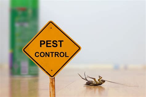 Most Common Three Pest Control Methods For House Owners — Mother Nature