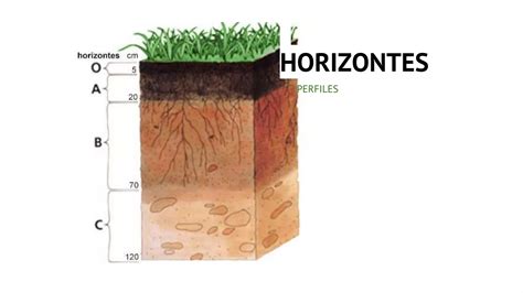 Nomenclatura Del Horizonte O