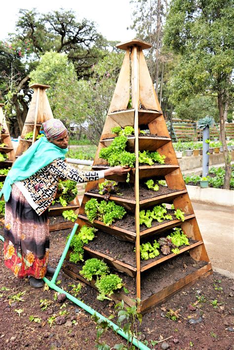 How An Urban Agriculture Project In Ethiopia Is Improving Lives And