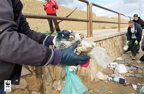 Il Wwf Ripulisce Il Porticciolo Di San Leone