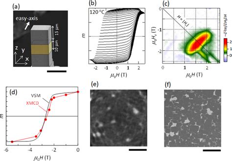 Preparations In Advance Of The Magnetic Tomography Measurements A SEM