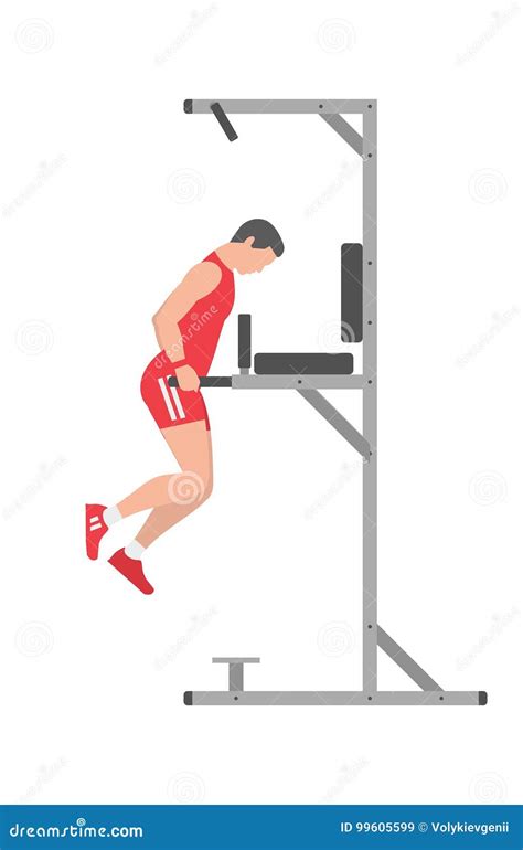 Man Doing Triceps Dip On Parallel Bars Stock Vector Illustration Of