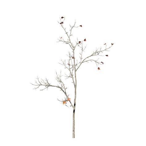 Red Maple Seedling – SpeedTree