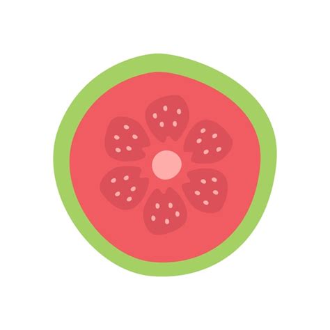 Premium Vector Guava Fruit Sliced Vector